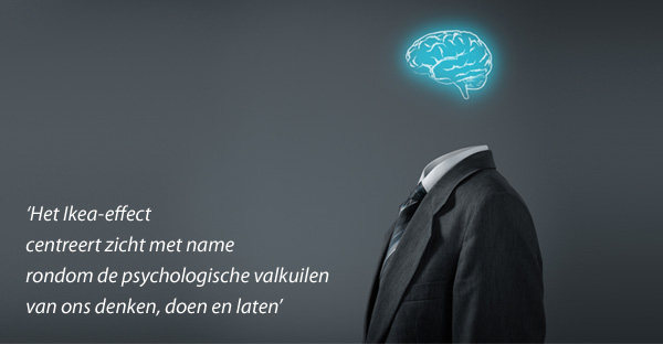 Het Ikea effect Het Ikea effect