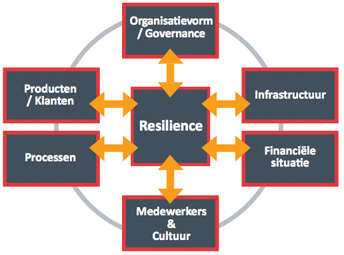 RGP - Hoofdcomponenten van resilience RGP - Hoofdcomponenten van resilience