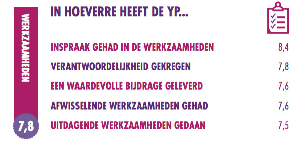 In hoeverre heeft de Young Professional