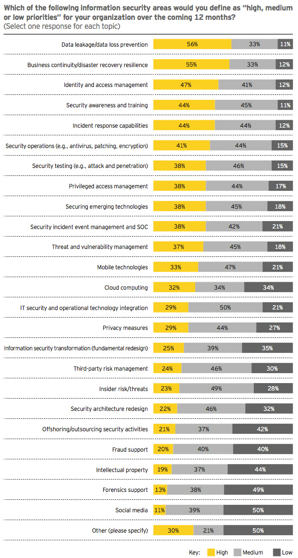 Information security priority areas