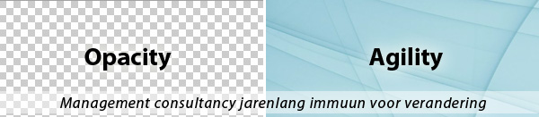 Management Consultancy immuun voor verandering