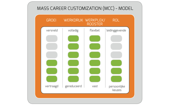 Mass Career Customization Model