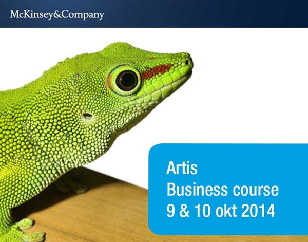 McKinsey - Artis Business Course