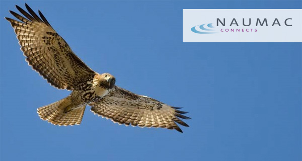 Naumac Connects Naumac Connects