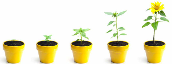 Ontwikkeling Ontwikkeling