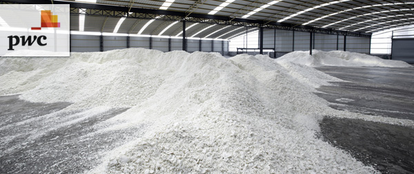 PwC - Grondstoffen