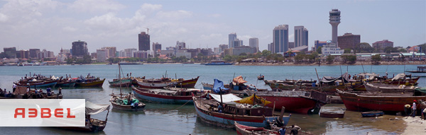 Rebel-Dar-es-Salaam-regio