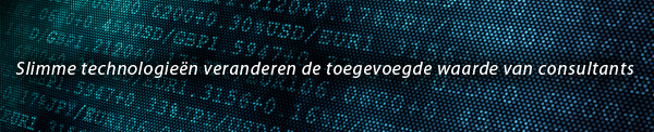 Toegevoegde waarde van consultants