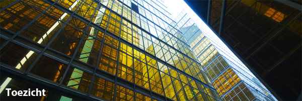 Toezicht Toezicht
