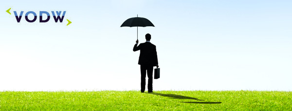 VODW - Verzekeraars