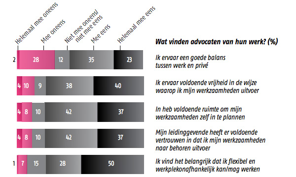 Wat vinden advocaten van hun werk