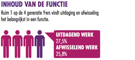 YSE - Inhoud van de functie