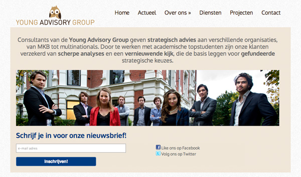 Young Advisory Group - Website